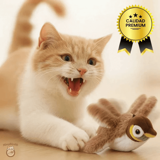 MiauBird® - Activa el instinto cazador de tu Michi y manténlo entretenido en casa