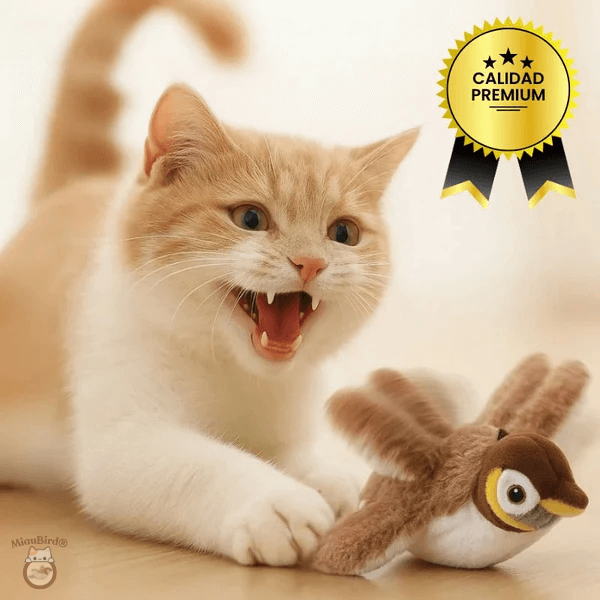 MiauBird® - Activa el instinto cazador de tu Michi y manténlo entretenido en casa